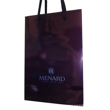 Printed Paper Shopping Gift Bag with Handle
